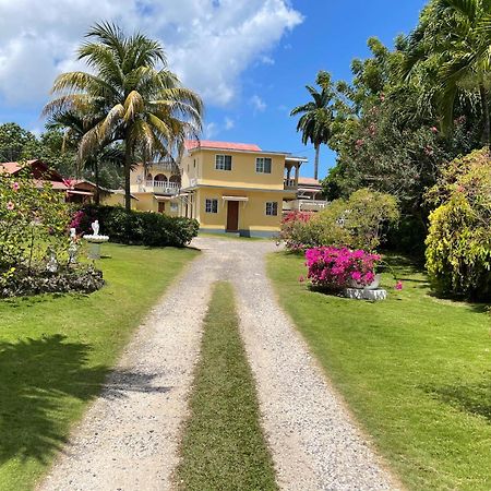 Little Shaw Park Guest House Ocho Rios Exteriör bild