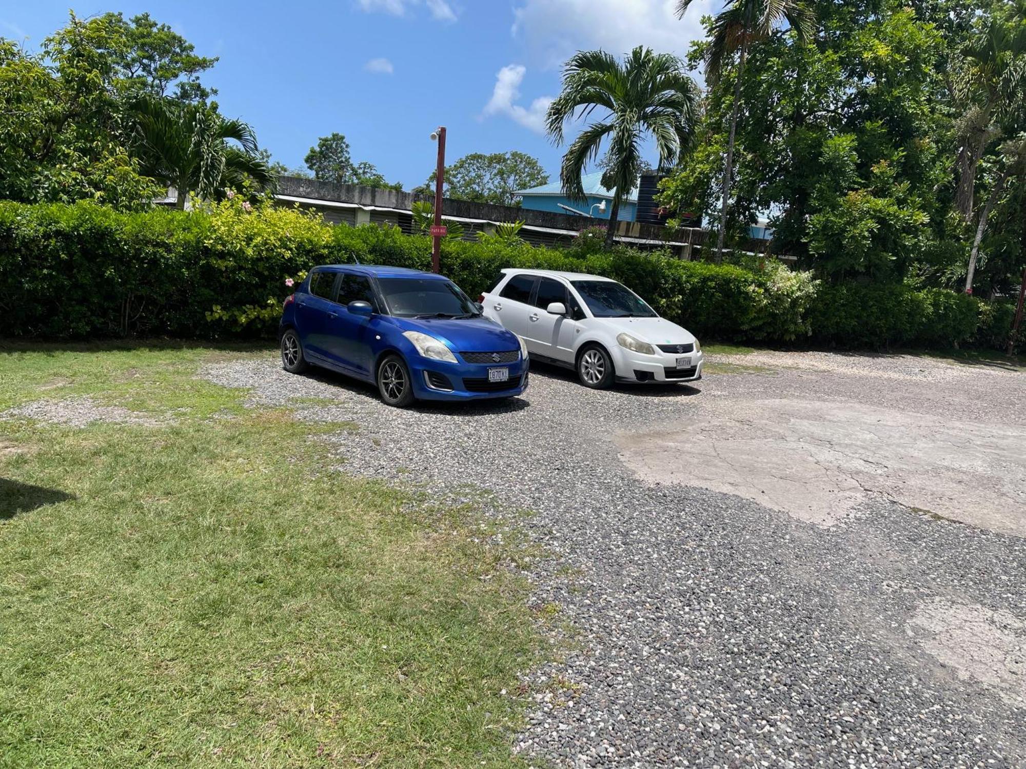Little Shaw Park Guest House Ocho Rios Exteriör bild