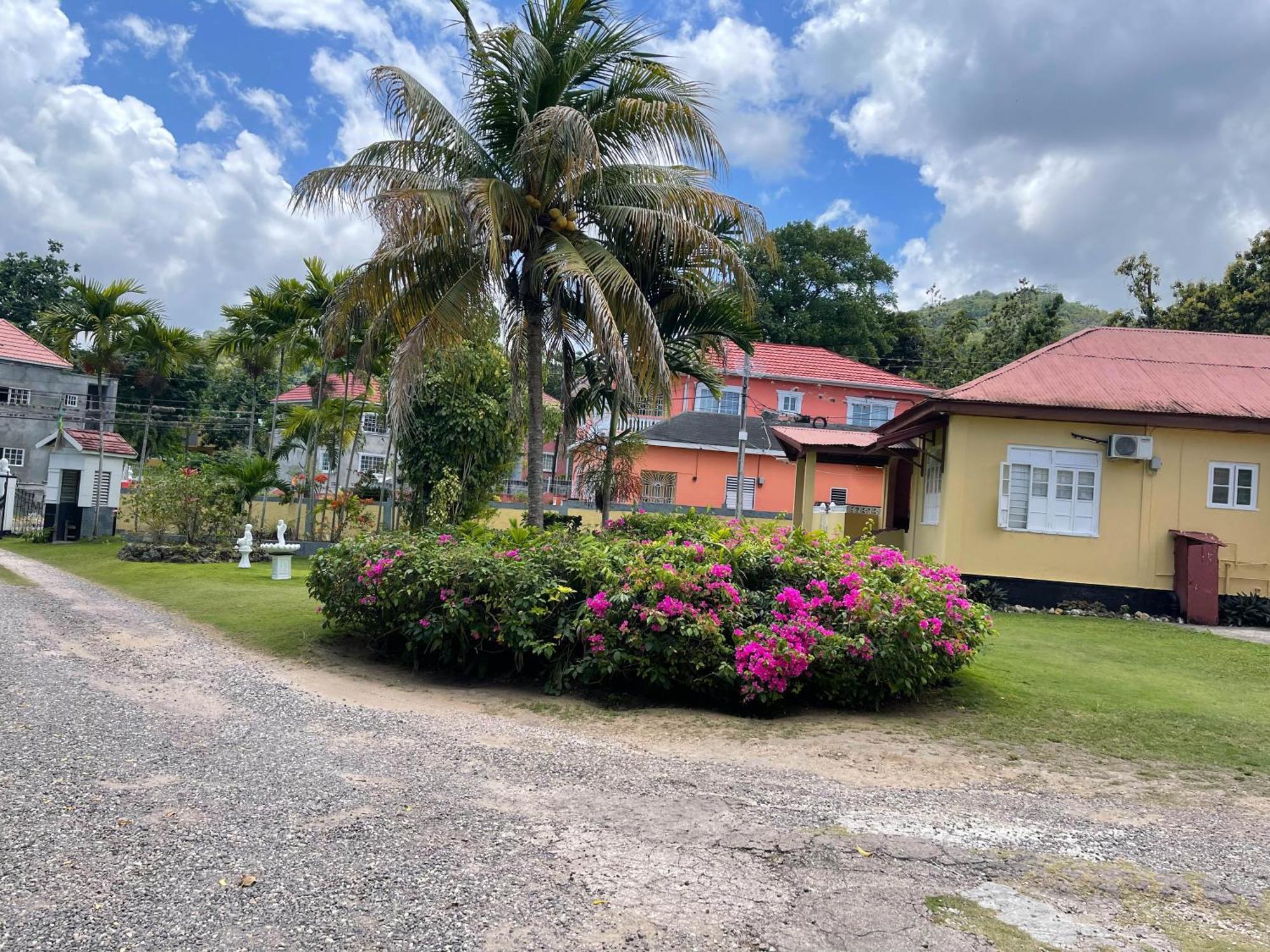 Little Shaw Park Guest House Ocho Rios Exteriör bild
