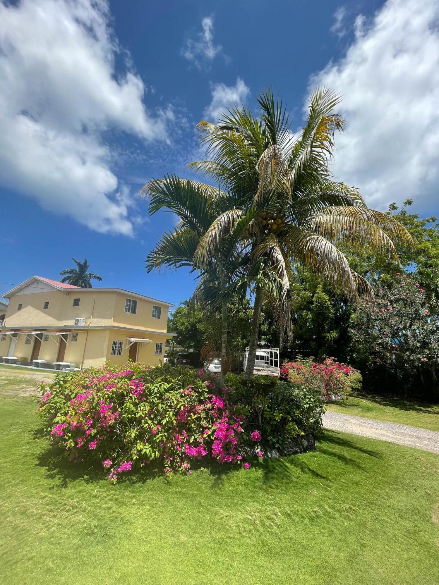 Little Shaw Park Guest House Ocho Rios Exteriör bild