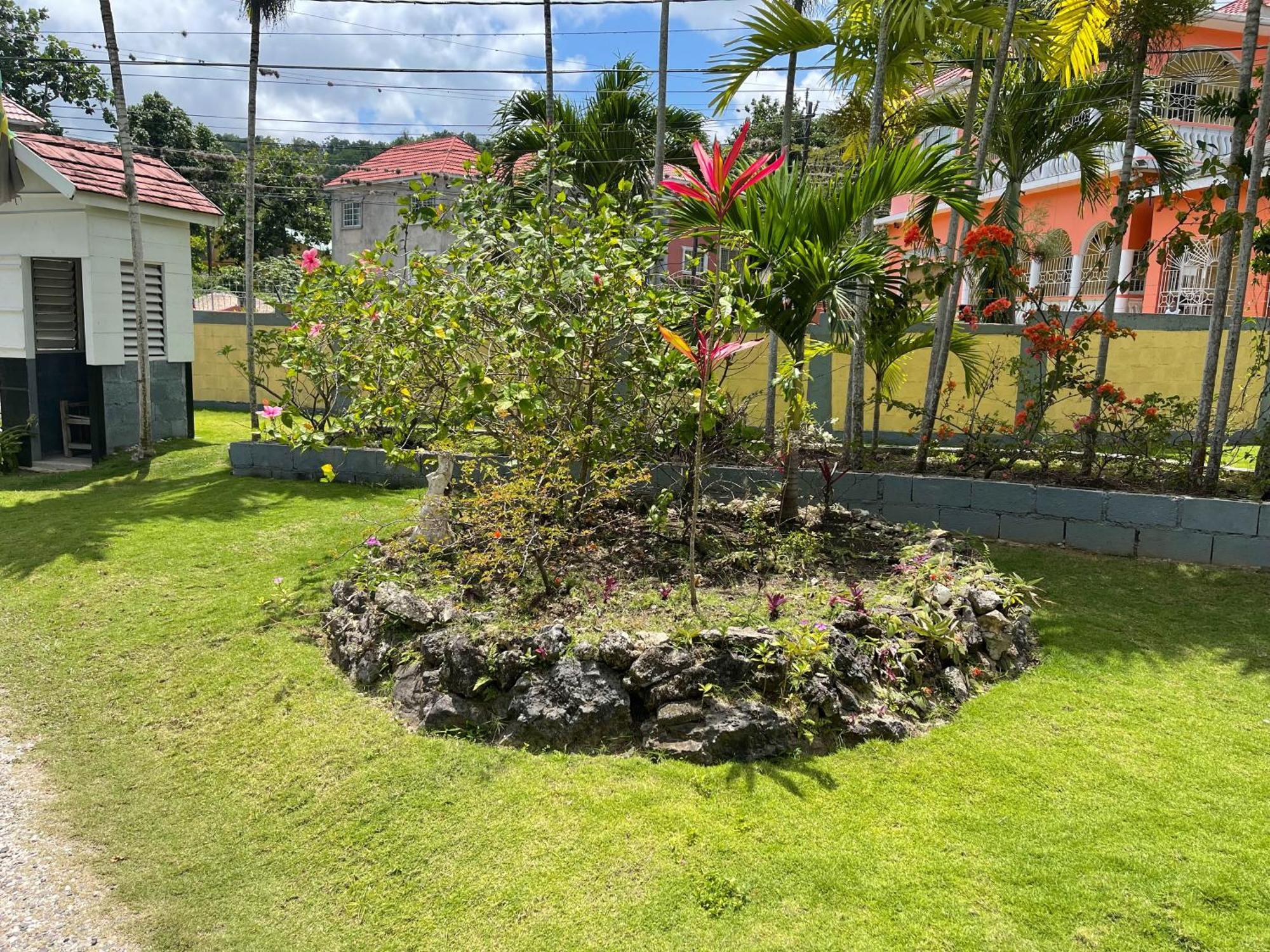 Little Shaw Park Guest House Ocho Rios Exteriör bild